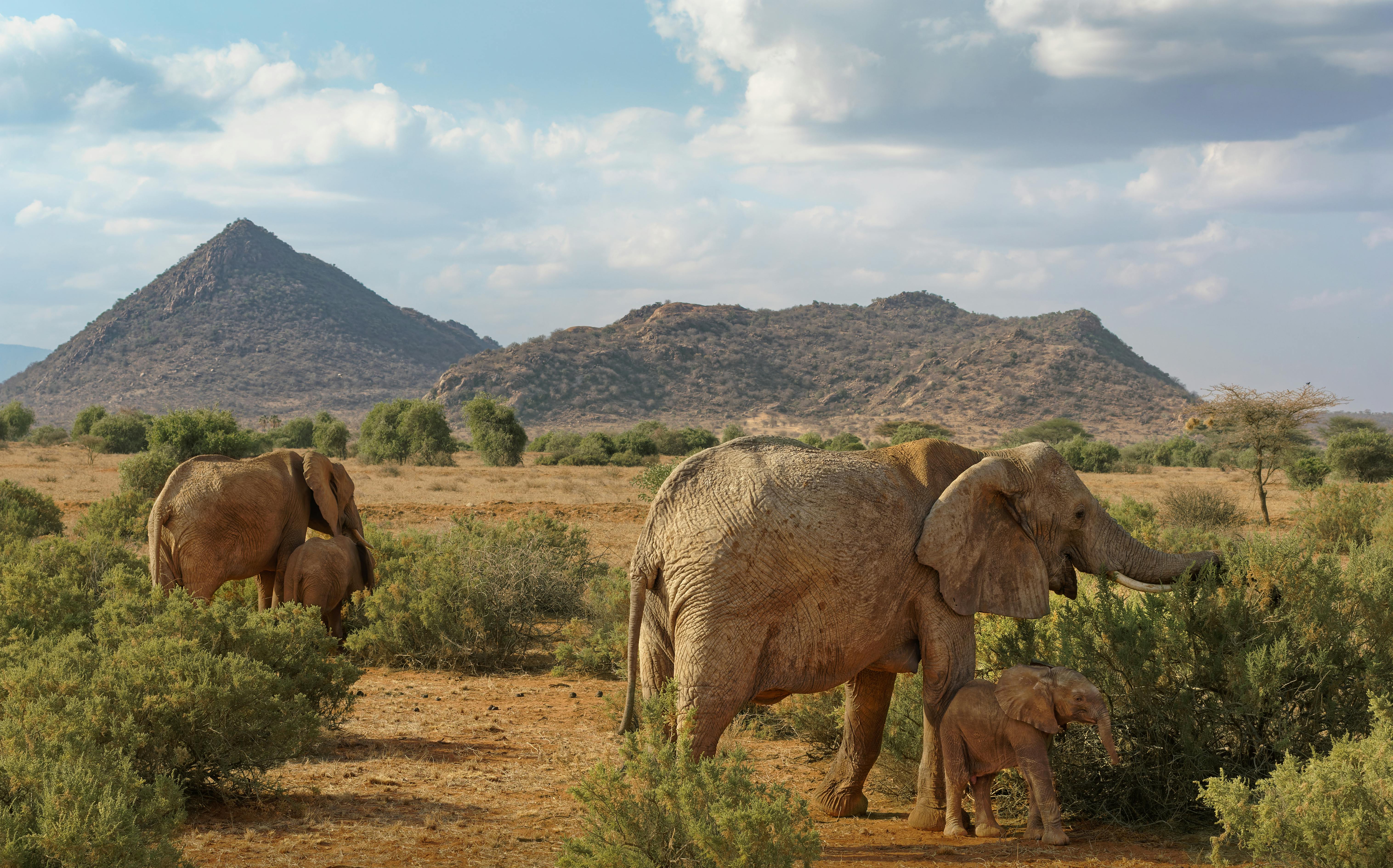 Shimba Hills Day Trip in Kwale County